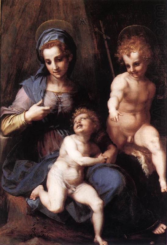 Andrea del Sarto Madonna and Child with the Young St John oil painting picture